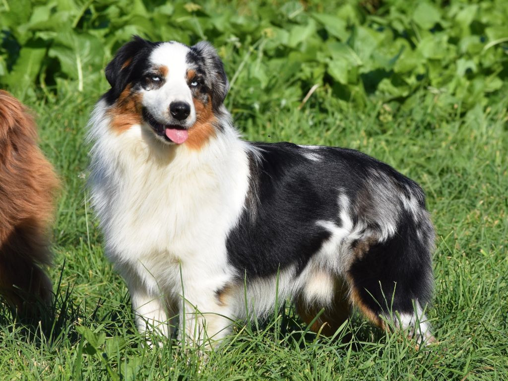 Under the sun De La Folle Emprise